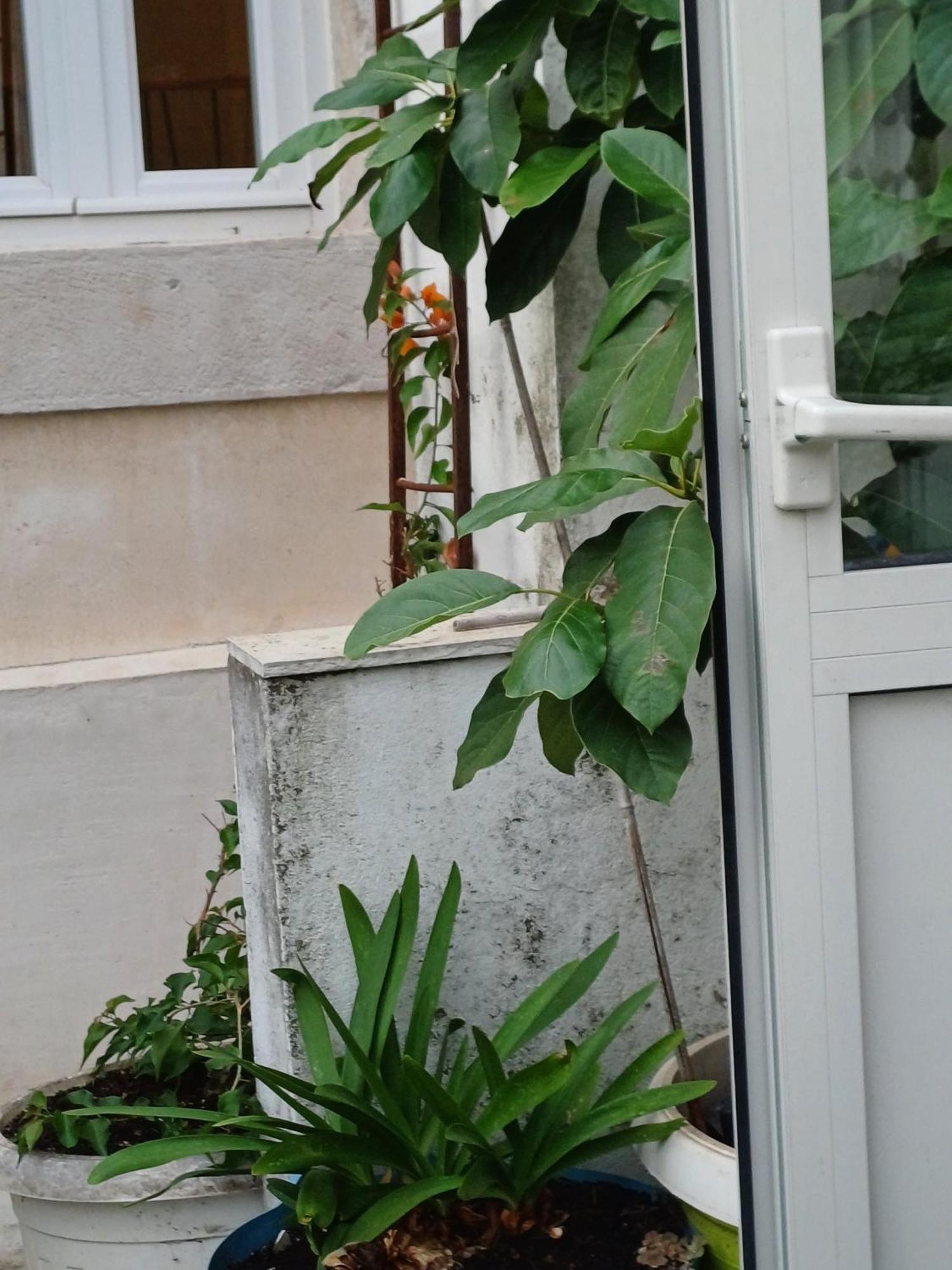 Guest House Jungher กอร์จูลา ภายนอก รูปภาพ